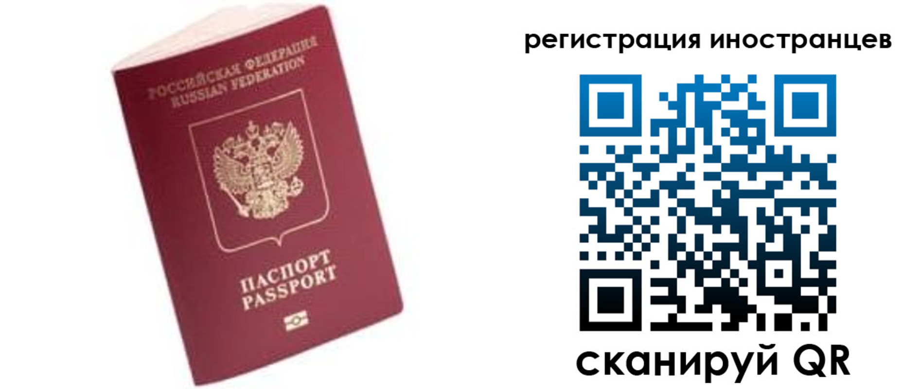 прописка гарантия в Курчатове